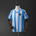 Camiseta retro de Argentina 2010