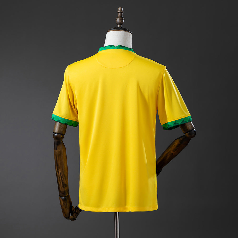 Brasil 2020
